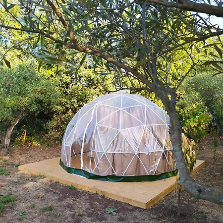 Glamping Dome, Cupola, Igloo Con Cielo A Vista