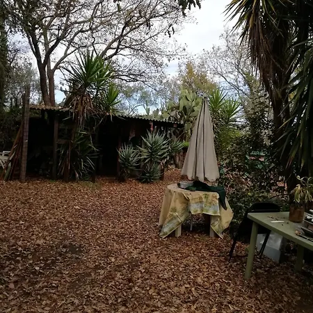 Glamping Dome, Cupola, Igloo Con Cielo A Vista