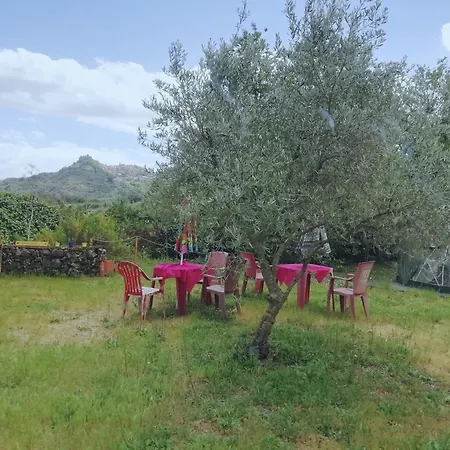 Dome, Cupola, Igloo Con Cielo A Vista Glamping *